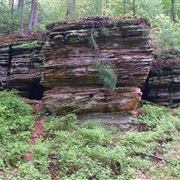 Rocky Arbor State Park, Wisconsin