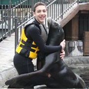 Swim With West Edmonton Mall's Sealions, Canada