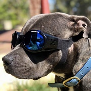 Doggles