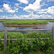 Scarborough Marsh Nature Center, Maine