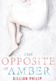 The Opposite of Amber (Gillian Philip)