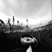 Time to Burn - Is.Land