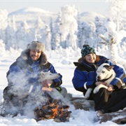 Husky Safari in Finland