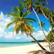 Les Salines, Martinique