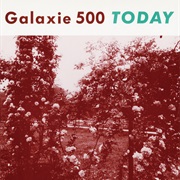 Flowers - Galaxie 500