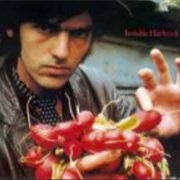 Robyn Hitchcock - Invisible Hitchcock