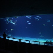 National Museum of Marine Biology and Aquarium