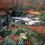 Prince William Forest Park