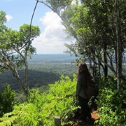 Iwokrama Mountains, Guyana