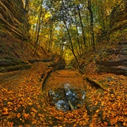 Day Trip: Starved Rock State Park
