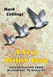 A Very British Coop: Pigeon Racing From Blackpool to Sun City (Mark Collings)