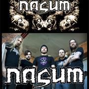 Nasum