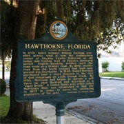 Hawthorne, Florida