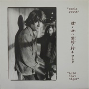 Sonic Youth - Hold That Tiger