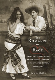 The Romance of Race: Incest, Miscegenation, and Multiculturalism in the United States, 1880-1930 (Jolie A. Sheffer)