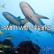 Swim With Sharks