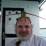 Glass Bottom Boat Tour, Coco Cay, Bahamas