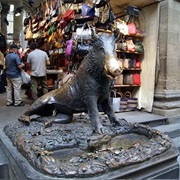 Fontana Del Porcellino