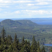 Koli National Park