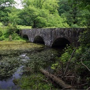 Maudslay State Park, Massachusetts