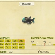 Barreleye