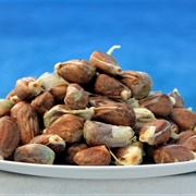 Breadnut (Artocarpus Camansi)