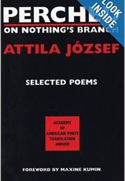 Perched on Nothing's Branch