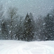 Extreme Snow Storm