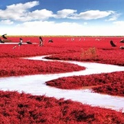 Red Seabeach, China