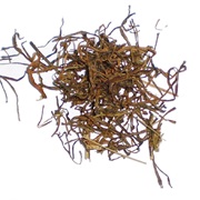 Jimbu (Allium Hypsistum)