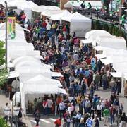 The East Lansing Art Festival