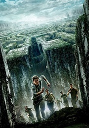 The Maze Runner (2014)