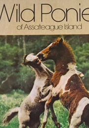 Wild Ponies of Assateague Island (National Geographic)