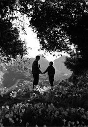 How Green Was My Valley