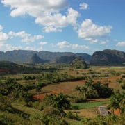Smoking a Cohiba in Valle De Vinales, Cuba