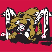 Batavia Muckdogs (SS)