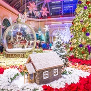 Bellagio Conservatory, Las Vegas