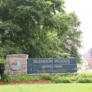 Blendon Woods