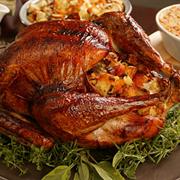 Roast Turkey and Stuffing
