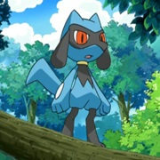 Riolu