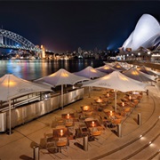 Have a Drink in the Opera Bar