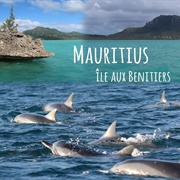Ile Aux Bénitiers