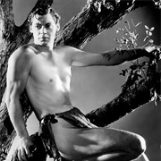 Tarzan - Tarzan of the Apes