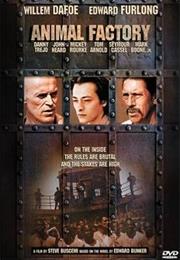 Animal Factory (Steve Buscemi)