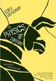 The Physics of Sorrow (Georgi Gospodinov)