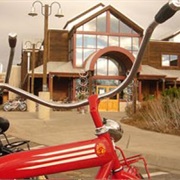 Take a Guided Tour of the New Belgium Brewing Company and Make Sure to Hit the Slide