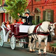 Horsedrawn Carriage Philadelphia