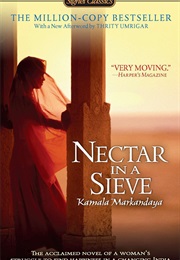 A Book by an Author of Different Ethnicity to You (Nectar in a Sieve)