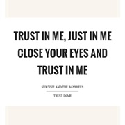Close Your Eyes and Trust Someone