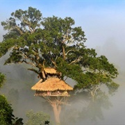 Bokeo Nature Reserve, Laos